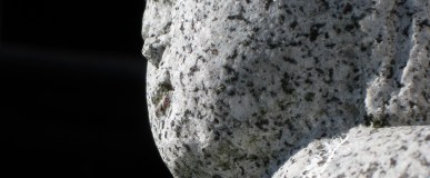 Extrapolate the Future